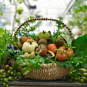 Chế phẩm     Chuyên ủ phân cá, đậu tương, dịch chuối làm phân bón cho hoa, cây trồng..