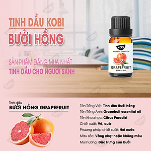 Combo 3 Tinh Dầu Kobi Nhập Khẩu Ấn Độ: Tinh Dầu Bạc Hà (30ml) + Tinh Dầu Oải Hương (30ml) + Tinh Dầu Vỏ Bưởi (30ml)  - Tinh Dầu Thiên Nhiên Nguyên Chất, Giúp Giảm Stress, Xua Đuổi Côn Trùng Và Khử Mùi Hiệu Quả, Thích Hợp Dùng Với Đèn Xông Và Máy Khuếch Tá