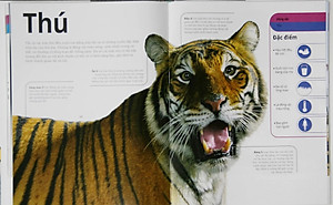 Sách Động Vật - Bách Khoa Thư Hình Ảnh Về Các Loài Vật Trên Trái Đất