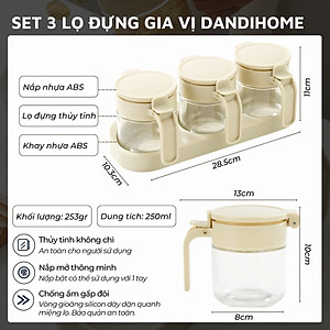 Set 3 hũ (lọ) đựng gia vị kèm khay DandiHome 250ml thủy tinh cao cấp tặng muỗng