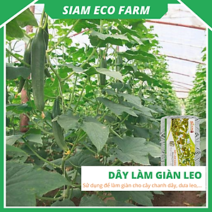 Dây làm giàn leo 3mm Siam Ecofam - chuyên làm giàn chanh leo, giàn bầu bí siêu bền