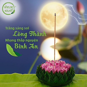 Nhang xanh trầm hương phổ thông - Hộp 500 gram