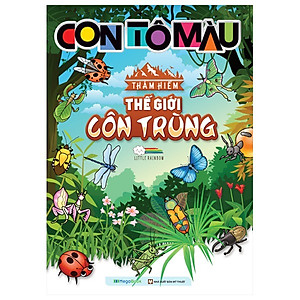 Combo Con Tô Màu Thám Hiểm (7 cuốn)