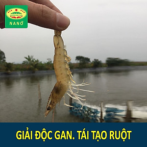 Chế phẩm sinh học VƯỜN SINH THÁI cho Tôm, Cá, Ếch. Nở ruột, chắc thịt, lớn nhanh. Vi sinh NANO siêu vượt trội. Hiệu quả ngay sau 5-7 ngày. HSD: 4 năm