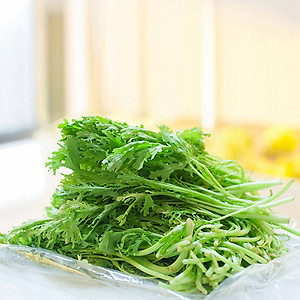 Hạt giống Cải Ngọt Đuôi Phụng 20gram