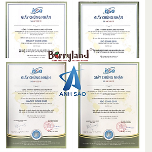 Nước cốt hoa Atiso đỏ BerryLand 500ml