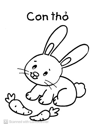 Sách Bé Tập Tô Màu - Động Vật (Tái Bản)