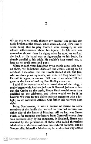 Sách To Kill A Mockingbird (Paperback) - Giết con chim nhại