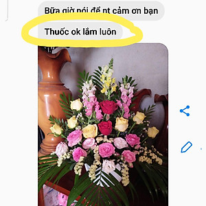 Shop Hoa Bảo Quản Hoa Cắm Lẵng, Hoa Cắm Xốp lâu tàn và hạn chế thay hoa định kỳ bằng Bột Dinh Dưỡng Hoa nhập khẩu Israel hiệu Longlife SG Của Israel (Thùng 5KG Bột Dưỡng Hoa Israel)