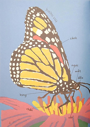 Sách Lâu Đài Khoa Học Của Em: Tại Sao Bướm Vua Lại Di Cư?