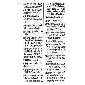 Từ điển Hàn Việt hiện đại (Bìa mềm)