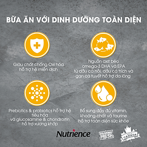 Thức Ăn Cho Chó Nhỏ Trưởng Thành Nutrience Infusion Bao 2,27kg - Thịt Gà, Rau Củ Và Trái Cây Tự Nhiên