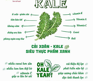 Bột cải xoăn hữu cơ sấy lạnh Dalahouse - Hộp 20 gói 3gr tiện lợi - Đào thải độc tố, chống ô xy hóa, bổ sung can xi hữu cơ cho cơ thể