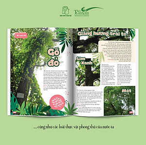 Sách Thảo Cầm Viên Sài Gòn - Kho Báu Trong Lòng Thành Phố