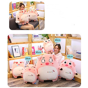 Gấu Bông Heo Mắt Tròn Niềm Vui Ngơ Ngác Love u - Màu Hồng 40cm DRU - Hàng Chính Hãng