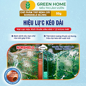 Chế Phẩm Trừ Bệnh NORSHIELD 86.2WG GreenHome, Gói 50gr, Gốc Đồng Đỏ, Bám Dính Tốt, Che Phủ Đều