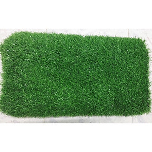 Thảm cỏ nhân tạo cỏ cao 2cm, trang trí trải sân vườn Hàng chuẩn loại đẹp cắt theo yêu cầu