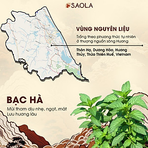 Cao tinh dầu Sao la (Saola Essential Oil Balm) 11g - Hỗ trợ giảm đau lưng, nhức mỏi, đau khớp, giúp ngủ ngon. Sản phẩm sản xuất từ các loại dược liệu thiên nhiên - Hàng Chính Hãng