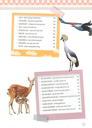 Thiên Nhiên- Những Bí Mật Còn Ẩn Giấu - Động Vật Quý Hiếm (Tái Bản 2019)- 2HBooks