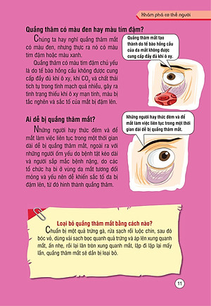 Sách Những Kiến Thức Khoa Học Dễ Hiểu Sai - Khám Phá Cơ Thể Người