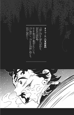 鬼滅の刃公式ファンブック 鬼殺隊見聞録 (ジャンプコミックス)