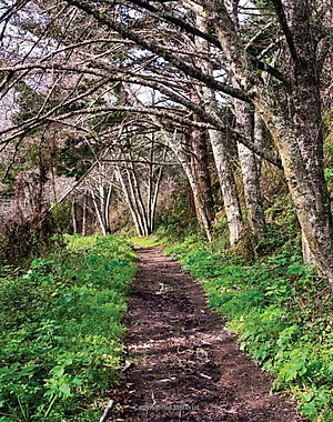 Drawdown: The Most Comprehensive Plan Ever Proposed To Reverse Global Warming