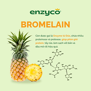 Nước lau đa năng sinh học ENZYCO 475ml - Chiết xuất Bồ hòn và Enzyme Dứa