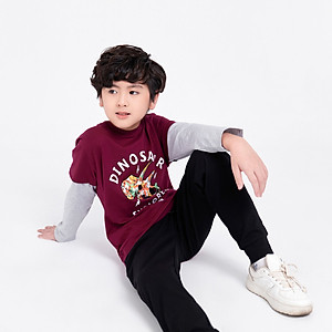 Bộ bé trai thu đông BIGFOX - MISS MEOW size đại, bộ dài tay cho bé hình in khủng long cỡ trẻ em 3-11 tuổi 11 - 37 kg