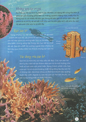 Sách Động Vật Xinh Đẹp