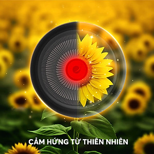 Bộ nồi chống dính vân gỗ Elmich Nature EL-5206MG04 size 18, 20, 24 chảo 26cm