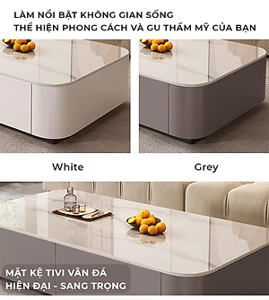 Bàn trà sofa bọc da cao cấp thương hiệu IGA - GM167