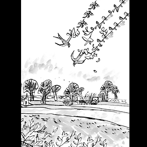 Sách Bà Bác Khủng Khiếp