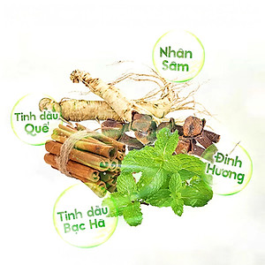 Dầu lăn sâm Nhị Thiên Đường Essential Oil 10ml (01 chai/02 chai/03 chai/04 chai/05 chai/10 chai) - Hàng chính hãng