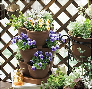 Chậu nhựa trồng cây cảnh 03 khoang Yamada 4L - Nhập khẩu trực tiếp từ Nhật Bản