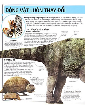 Sách Các Siêu Sao Trong Giới Động Vật