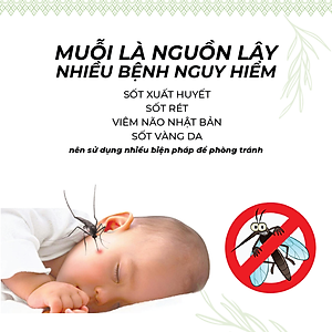 Xịt Phòng Tinh Dầu Hữu Cơ Organic 24Care - Kháng khuẩn - Khử mùi hôi - Đuổi muỗi, kiến ba khoan - côn trùng - Hương thơm thư giãn.