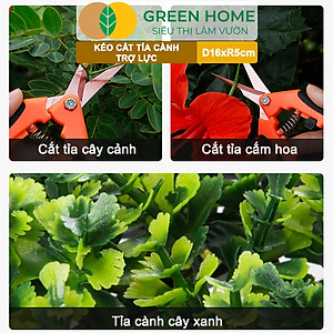 Kéo Cắt Cành GreenHome, D16,5xR4,5cm, Inox, Mũi Nhọn, Siêu Bén, Không Gỉ, Có Khoá An Toàn, Nhiều Màu Lựa Chọn