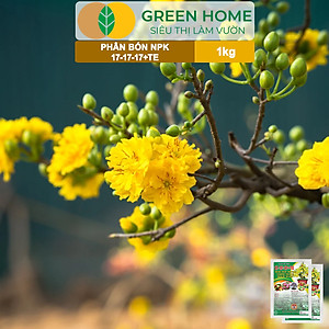 Phân Bón NPK 17-17-17, Greenhome, Gói 1kg, Bung Chồi Đọt, Thúc Nút Kim, Tạo Mầm Dưỡng Hoa