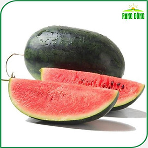 Hạt giống Dưa Hấu Rado 331 (10 hạt) trái to, dài, ruột đỏ, ngọt, kháng sâu bệnh, trồng quanh năm - Hạt giống Rạng Đông
