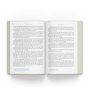 Việt Nam Sử Lược (Ấn Bản Kỉ Niệm 100 Năm Xuất Bản Lần Đầu) (Tái Bản)