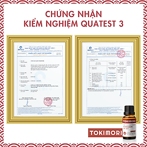 Combo 3 Chai (10ml) Tinh Dầu Cam Ngọt + Vỏ Quế  + Bạc Hà TOKI MORI Xuất Khẩu Nhật Bản 100% Thiên Nhiên, An Toàn Cho Trẻ, Xông Phòng, Khử Mùi, Kháng Khuẩn, Đuổi Muỗi, Giải Cảm