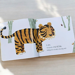 Ehon Bé Ngoan - Combo 5 cuốn Là Ai Thế Nhỉ?