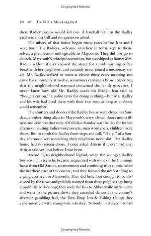 Sách To Kill A Mockingbird (Reprint, 2007) - Giết Con Chim Nhại
