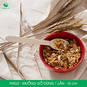 FMG2 - Combo 500 Muỗng gỗ dài 16 cm dùng 1 lần - Thìa gỗ dài dùng 1 lần tiện lợi thân thiện môi trường