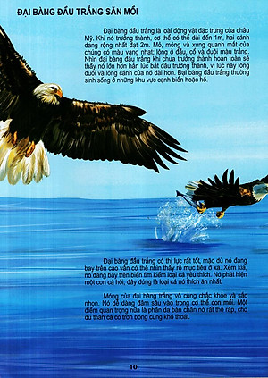 Sách Thế Giới Động Vật Kì Thú - Thế Giới Loài Chim