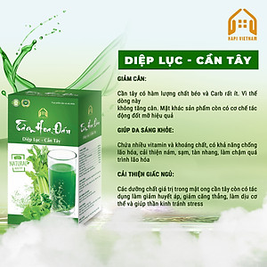 Tâm Hoa Đán - Diệp lục cần tây
