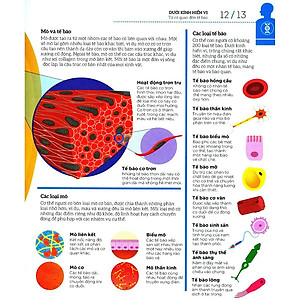 Sách How The Body Works - Hiểu Hết Về Cơ Thể