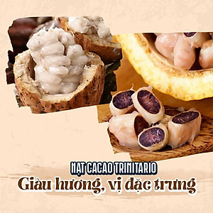 Bột cacao nguyên chất 100% Việt Nam - Dòng Origin thượng hạng túi giấy 500g - Heyday Cacao