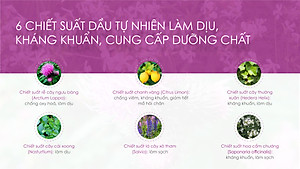Túi ủ tẩy tế bào chết, dưỡng ẩm chân PERORIN (Lavender) - Nhật Bản - Chính hãng - Hộp 1 túi