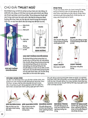 Khoa Học Về Chạy Bộ - Phân Tích Kỹ Thuật, Phòng Ngừa Chấn Thương, Đổi Mới Cách Tập Luyện - Bìa Cứng